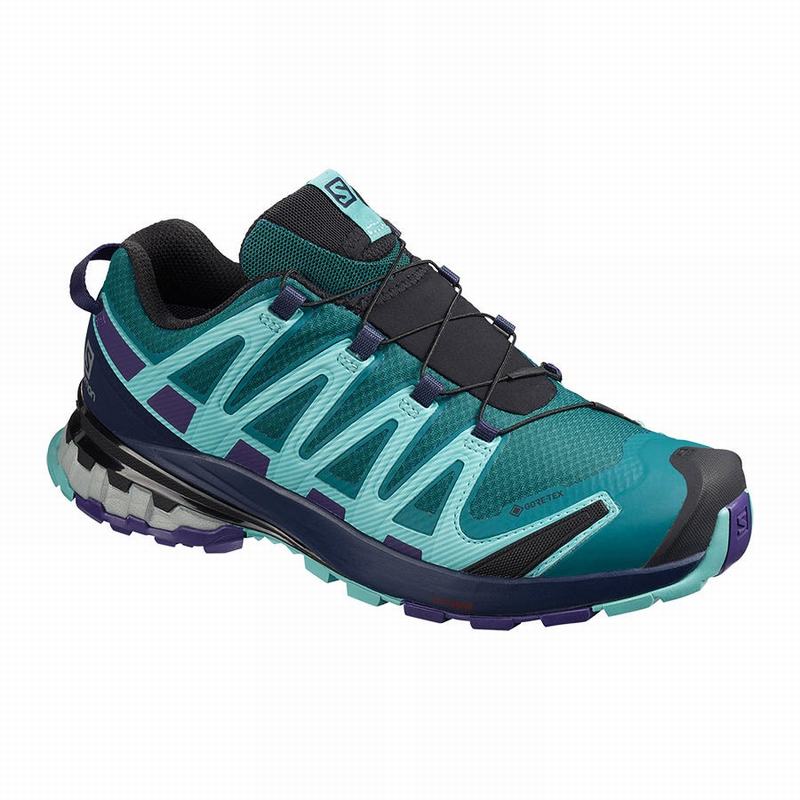 Zapatillas Trail Running Salomon Mujer Azules - Salomon Argentina XA PRO 3D V8 GORE-TEX ,649523-ZME